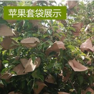枇杷农家水果套袋沙田柚防鸟防虫香梨大果树上新款杨桃露天纸袋子