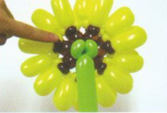 魔法气球造型系列之向日葵气球花