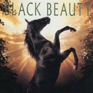 black beauty 黑骏马