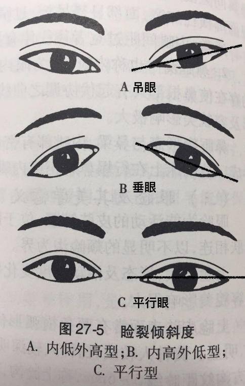 内外眼角连线的倾斜度 我们古代女子的眼眸都以「丹凤眼」为美,说这种