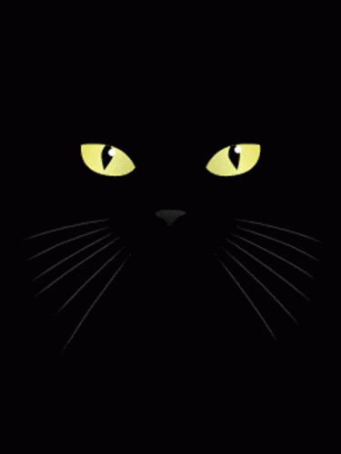 夜猫