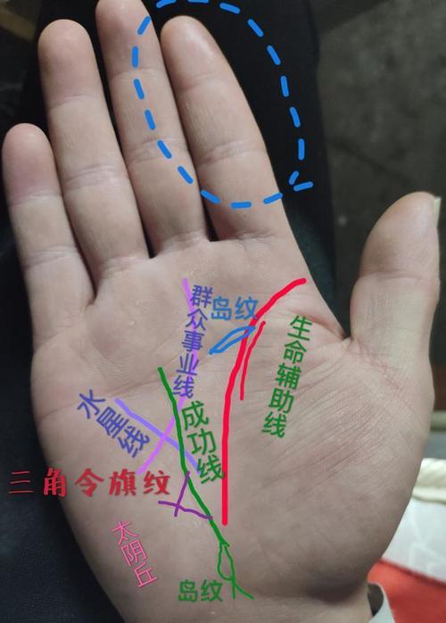 手相实例解读:鬼手掌相,集各种经典掌纹于一手的奇人