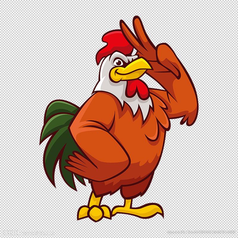 卡通鸡相关图片