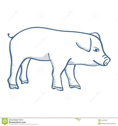 图片儿童素描画猪3
