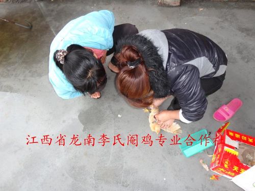 ta(李氏阉鸡合作社)的城市空间,被关注过2113次