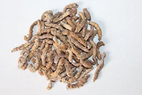 僵蚕的功效与作用,僵蚕的食用禁忌有哪些