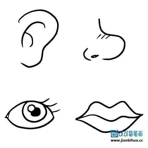 《眼睛鼻子耳朵嘴巴》