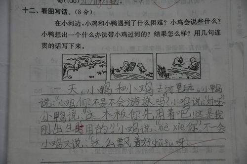 小鸡和小鸭(看图说话)