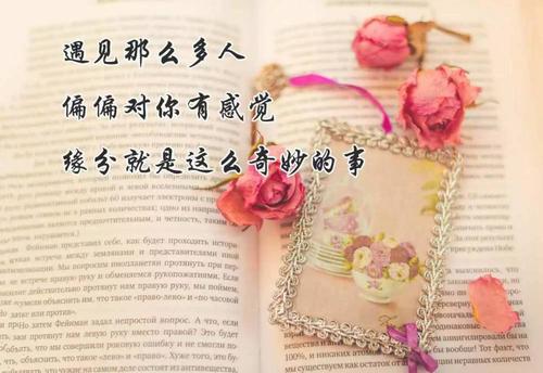 你是我生命中最美的缘,有你真好!