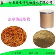 虫草菌丝粉 蝙蝠蛾拟青霉菌粉 虫草菌多糖