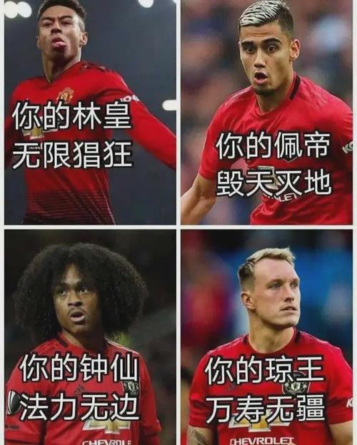 不开玩笑我们都误会林加德了