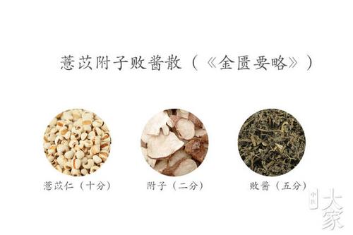 薏苡附子败酱散治疗皮肤病有良效