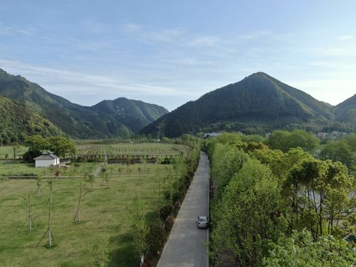 开化县下淤村森林人家
