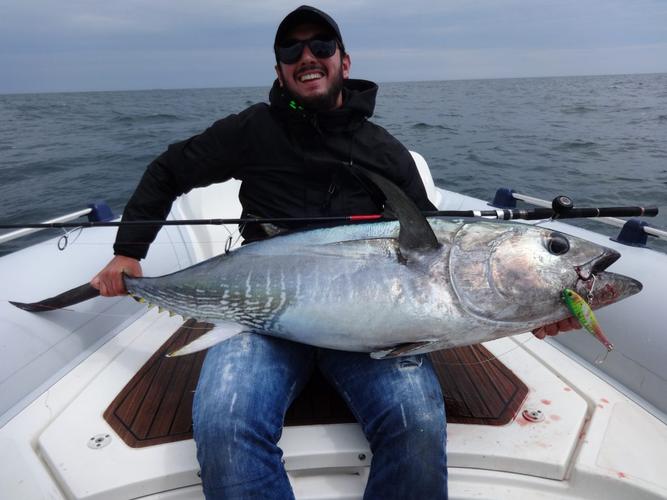 the scoop on southern bluefin tuna