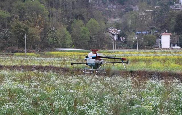 盘州市启用植保无人机为软籽石榴施肥施药