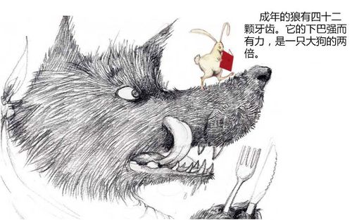 《大野狼》绘本的故事开篇就是一只兔子借到了一本叫做《大野狼》的