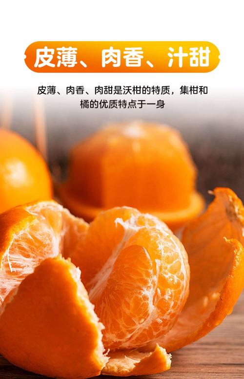 蠡县信誉楼源头直采广西武鸣沃柑