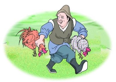 偷鸡者     曾有这样一个人,每天都要去偷邻居的鸡.