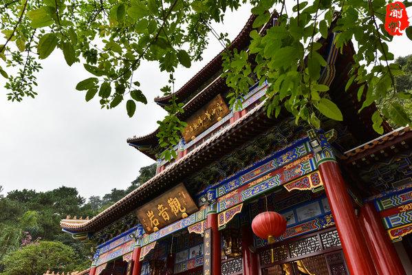 我们来到的第一个景点名叫观音岩,是一栋极其高大的寺庙建筑,雕梁画栋