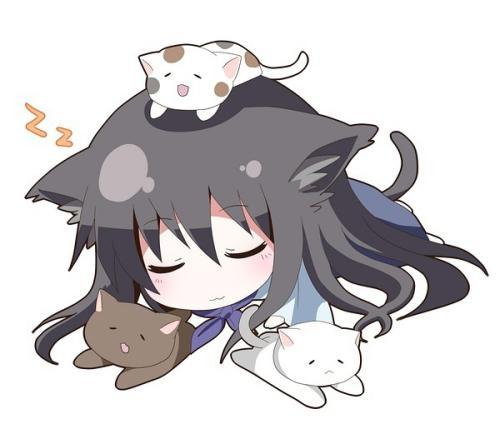 二次元猫咪头像图片