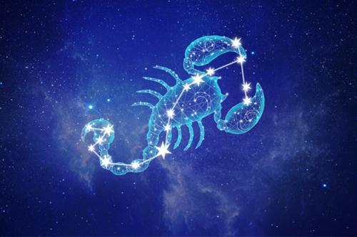 天蝎座"断舍离"的能力当属十二星座之首,因为天蝎座时刻将自己放在最