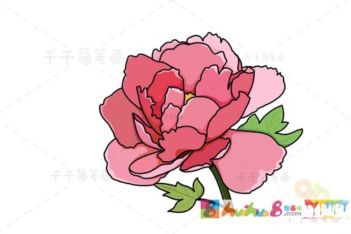 芍药花简笔画步骤图