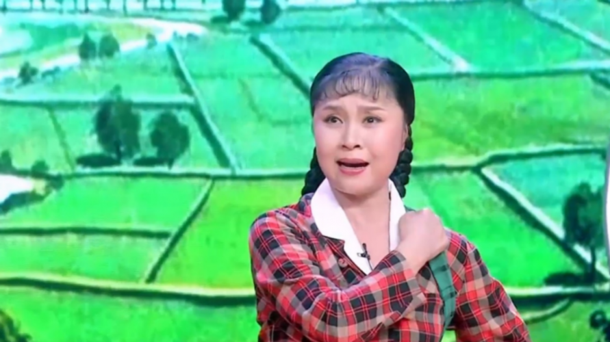 杨红霞盛红林再现豫剧朝阳沟选段经典百看不厌丨戏码头