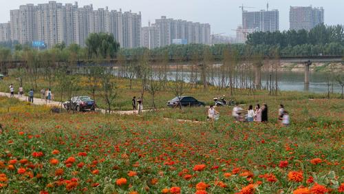 身边的的世界:初现雏形的周口滨河公园