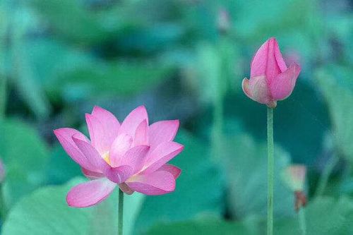 "病从口入,祸从口出":有这三个觉悟的人,注定福气满满