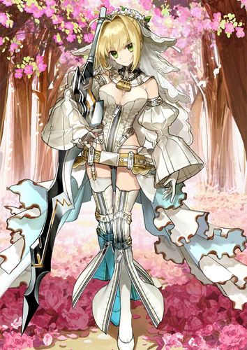 fgo花嫁尼禄满破图鉴 各灵基再临阶段立绘欣赏