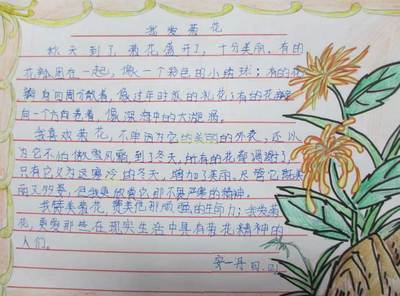 有关于菊花篱笆墙的手抄报 手抄报版面设计图