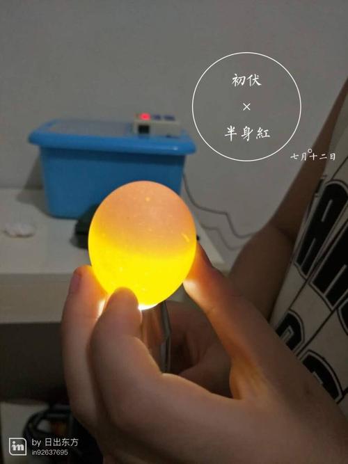 美文 孵小鸡观察记录 写美篇 每120分钟机器自动辊轴翻蛋一次,17天落