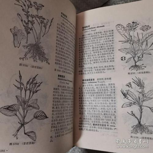 中国高等植物图鉴 全5册(精装)