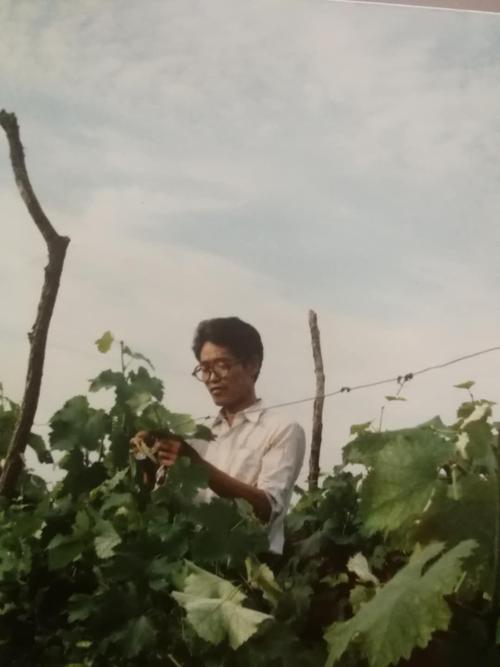 杨振华网上纪念馆