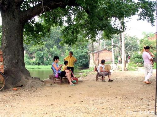 门前的古树下,人们悠闲地避暑在,真是大树底下好乘凉啊.