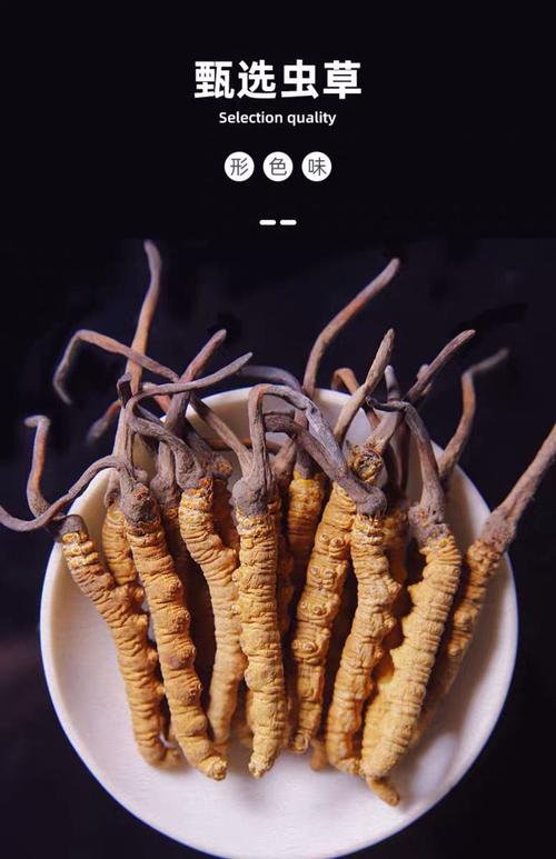 整草特促冬虫夏草冬虫草虫草干货虫草煲汤泡酒滋补品精选虫草40根