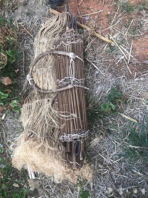 会泽有两名男子在山上打"野鸡"被抓