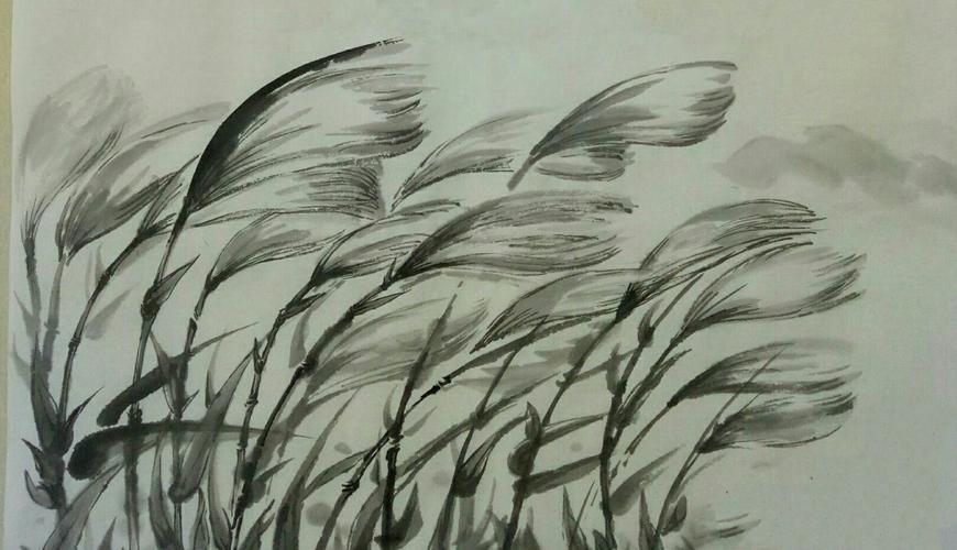 蒹葭杨柳绿汀洲