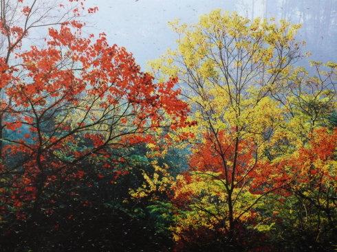 新丰云髻山看红叶