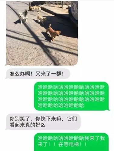 我与沙雕外卖小哥的故事!