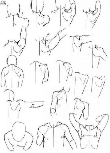 绘画素材 | 人体手肘,胳膊,肩膀的线稿,绘画参考