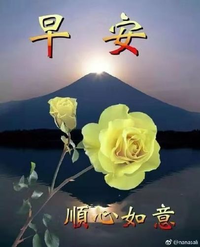 写美篇 淡淡早安语,深深祝福情,愿我们彼此多保重,愿一切都顺心如意!