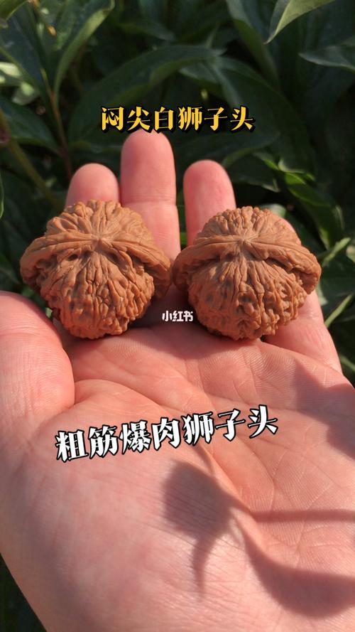 闷尖白狮子头_狮子头_核桃_文玩_文玩核桃_兴趣爱好