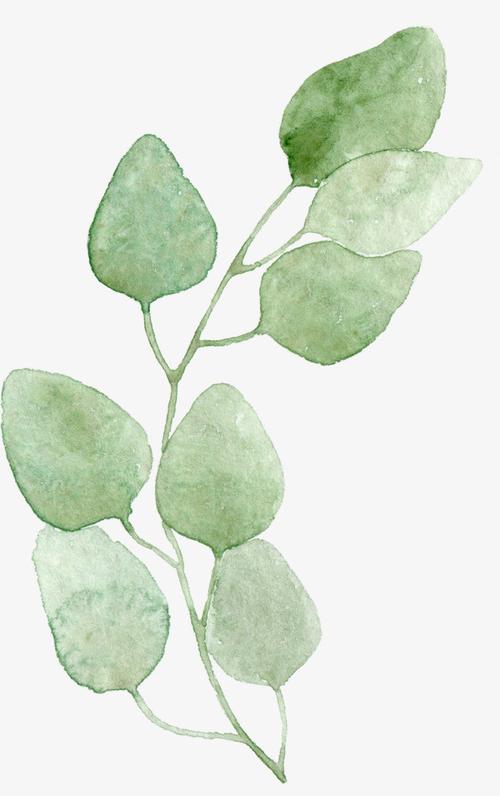 绿色树叶卡通小清新水彩手绘矢量植物素材