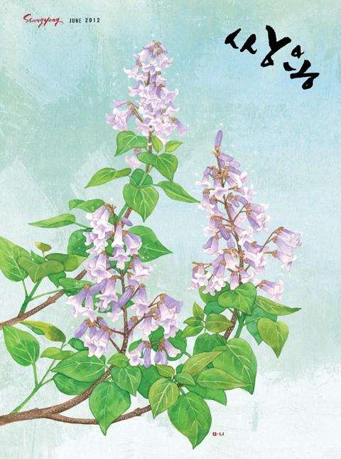 【park, man-hee】韩国插画家.泡桐