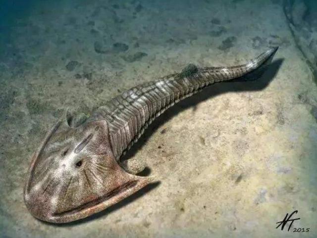 "脊椎动物"是怎么在寒武纪海洋中崛起,并且成为海洋霸主的?