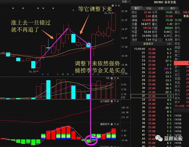 股票 正文 操作要点是,不追涨,当股票已经涨上去两天了,不追涨,等它