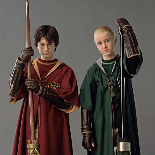 哈利波特:德拉科·马尔福真人头像