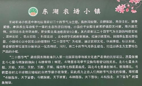 安阳新东区▏东湖农场小镇节假日通用踏春好去处限量1000张18元享门市