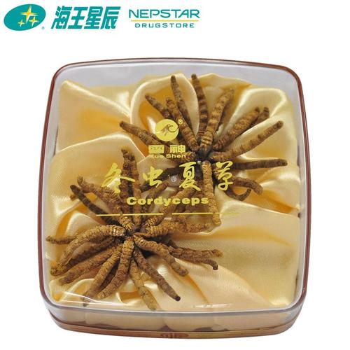 雪神,冬虫夏草(水晶精选扎花) 成都康华 10g